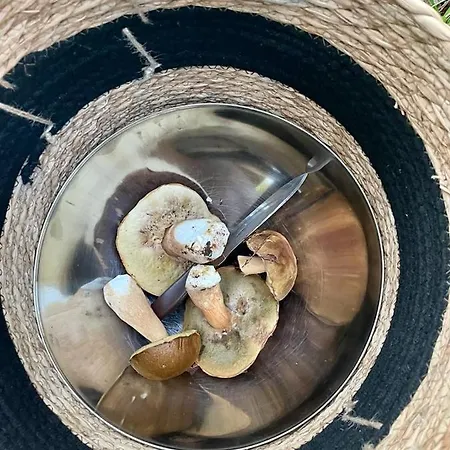 Si'seta ヴィラ Garica