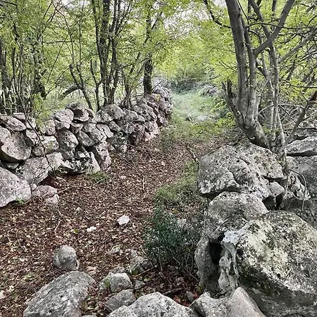 Si'seta Vilă