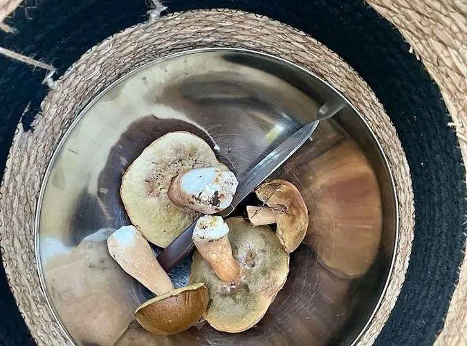 Si'seta Villa Garica